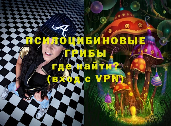 винт Арсеньев
