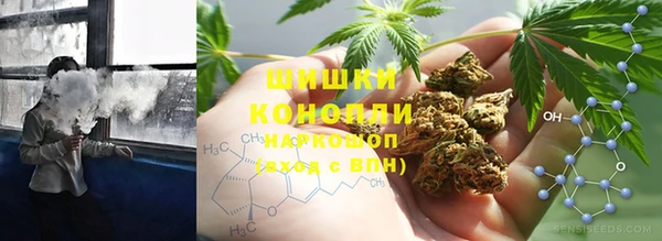 винт Арсеньев
