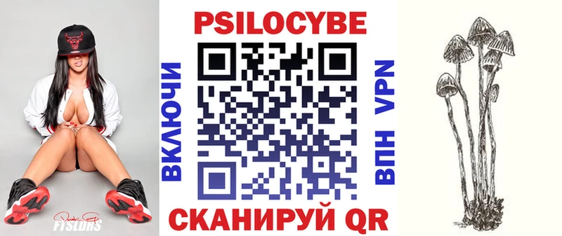 MEGA вход  где можно купить наркотик  Сенгилей  Псилоцибиновые грибы прущие грибы 